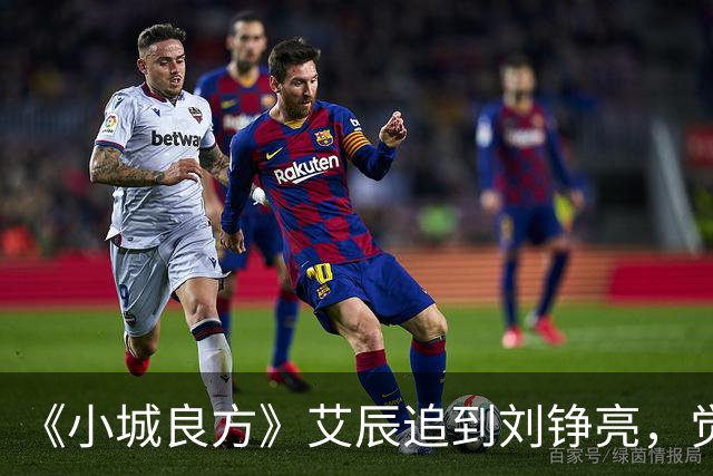 《小城良方》艾辰追到刘铮亮，觉得不般配太膈应，3个原因很真实