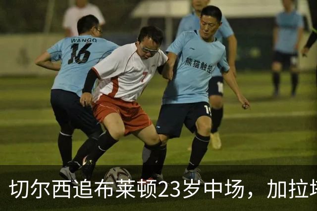 切尔西追布莱顿23岁中场，加拉塔萨雷也在抢