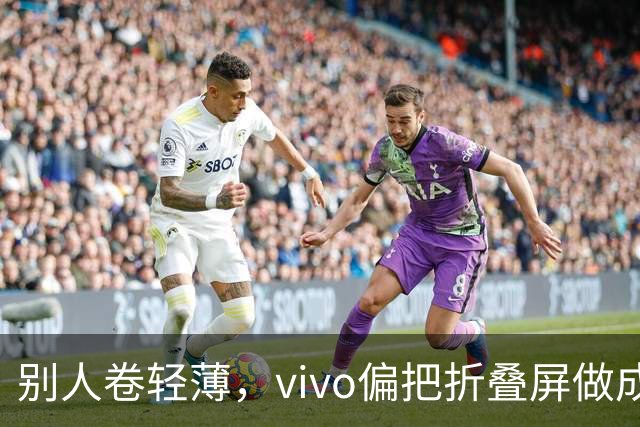 别人卷轻薄，vivo偏把折叠屏做成了奢侈品