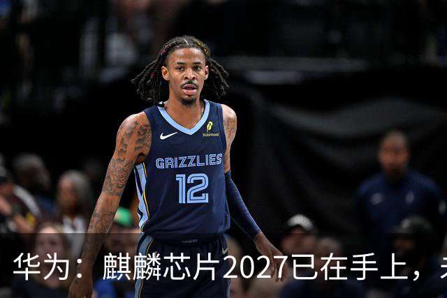 华为：麒麟芯片2027已在手上，未来可持续演进10年