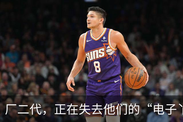 厂二代，正在失去他们的“电子丫鬟”