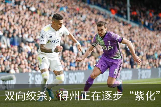双向绞杀，得州正在逐步“紫化”