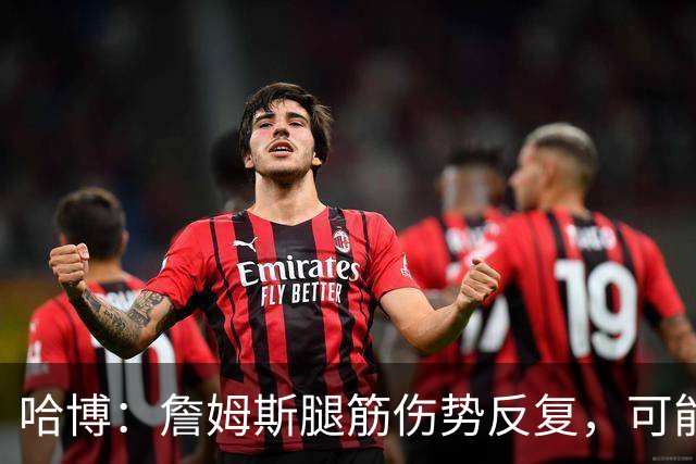 哈博：詹姆斯腿筋伤势反复，可能进伤病储备名单