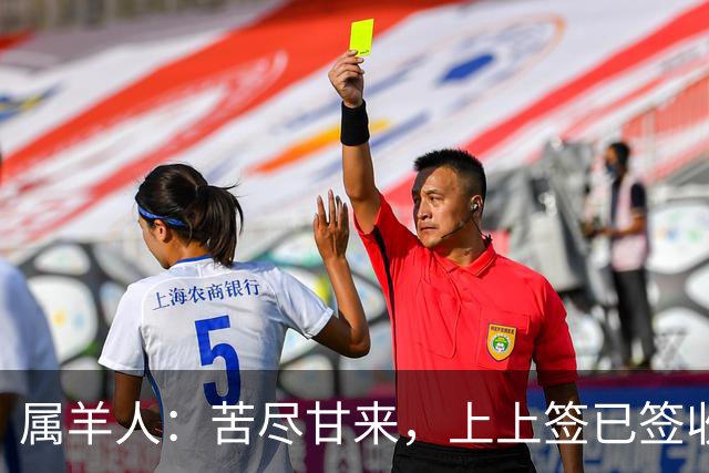 属羊人：苦尽甘来，上上签已签收，八十一难已过完，无灾无难